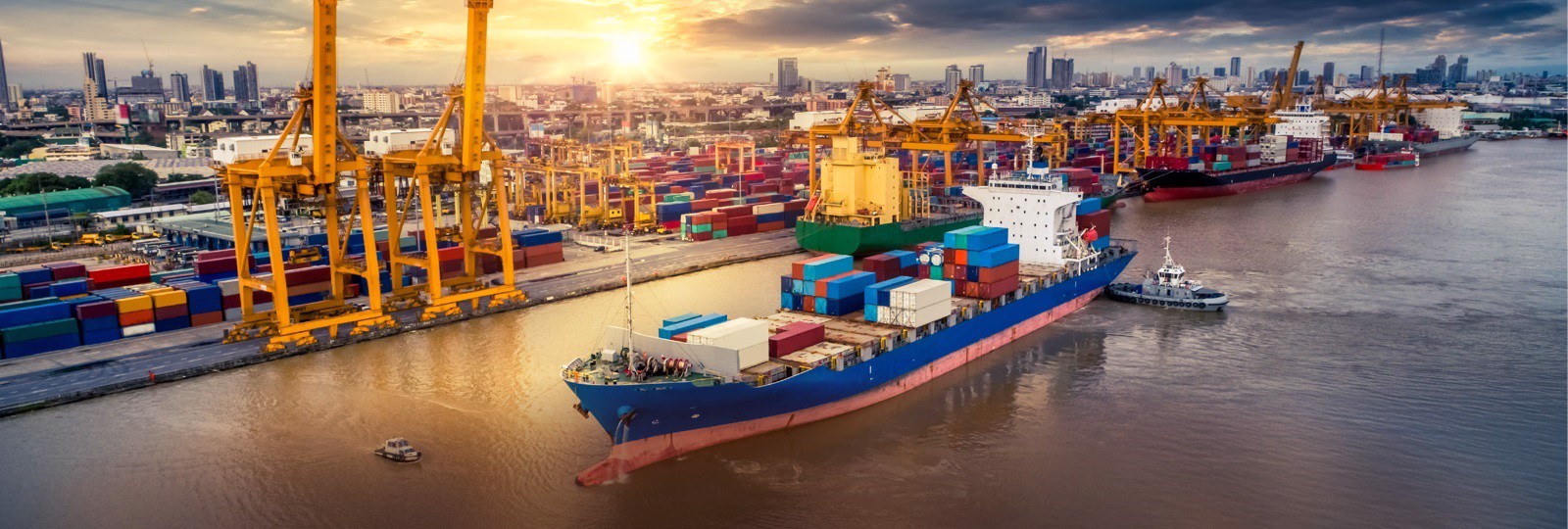 Kết nối để phát triển
